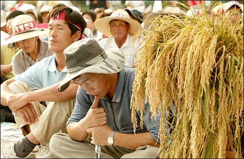 10일 오후 여의도공원 문화광장에서 열린 '이경해 열사 정신계승·WTO반대·우리쌀 지키기 2005 전국농민대회'에 참가한 농민이 이어지는 발언을 들으며 시름에 찬 표정을 하고 있다.
 